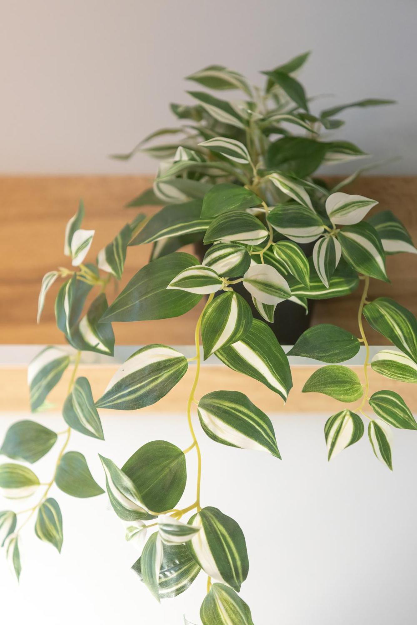 Apartment Unique Bright In By Renters